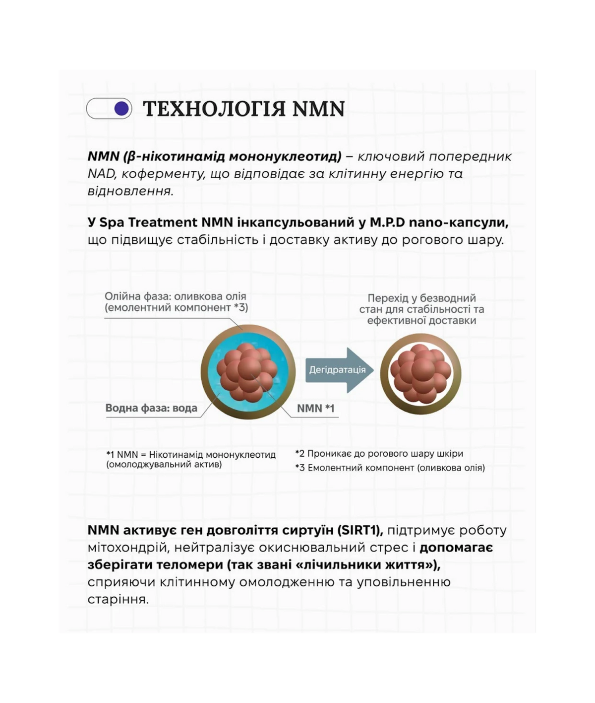 Spa Treatment NMN iSHEET