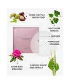 AXXZIA AGTheory Smooth Face Mask