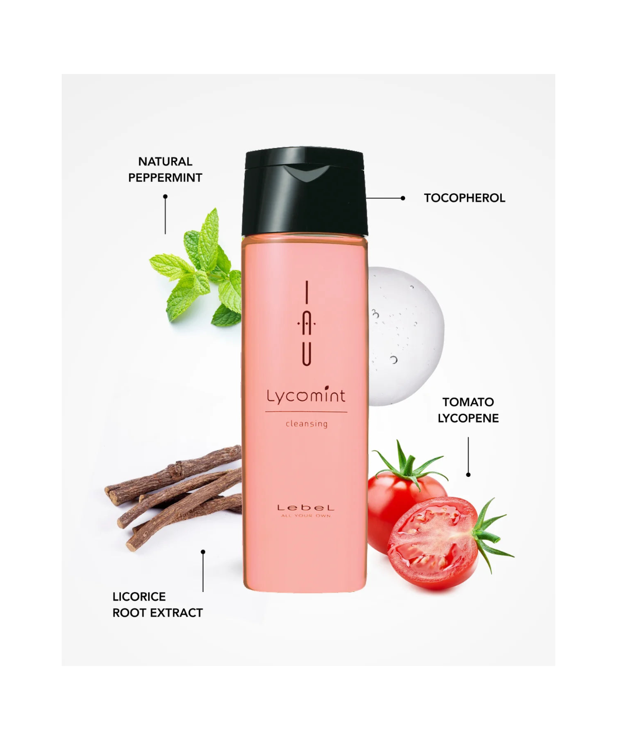 Lebel IAU Lycomint Cleansing